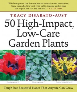 high-impact-cover4