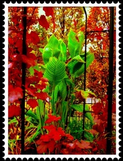autumn invoice no text 2