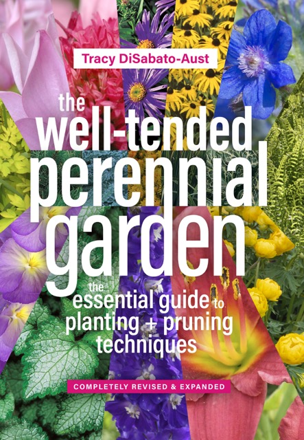 the well-tended perennial garden